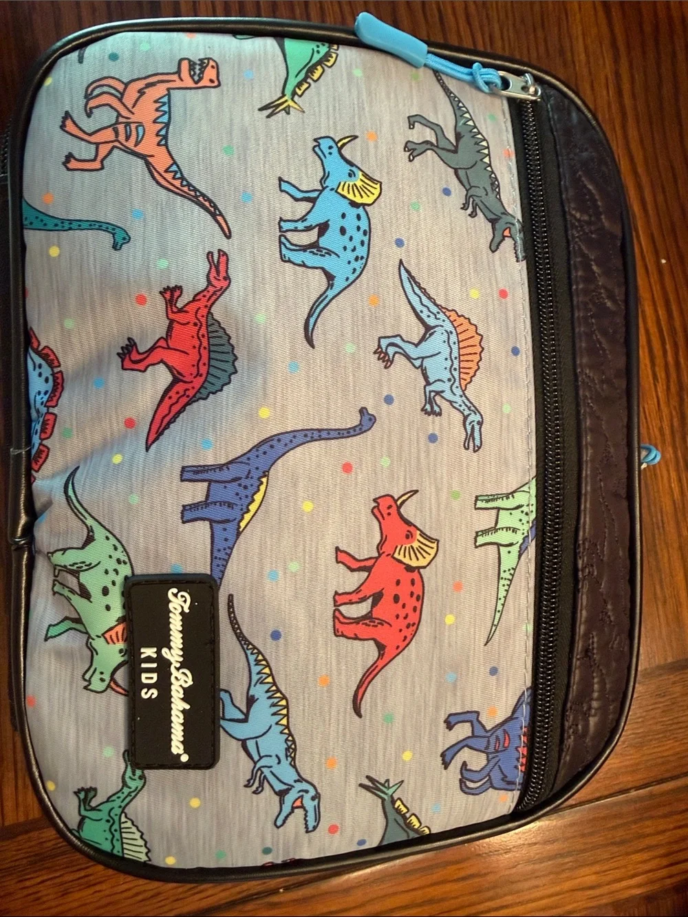 Tommy Bahama Kids 🦖Dinosaur 🦕 Lunch Bag